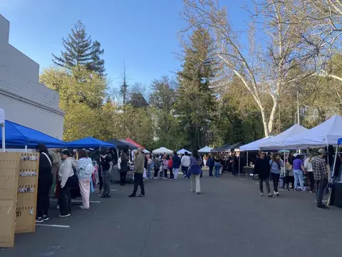Lunar Market Chico