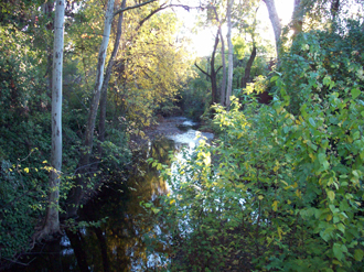 Little Chico Creek Greenway
