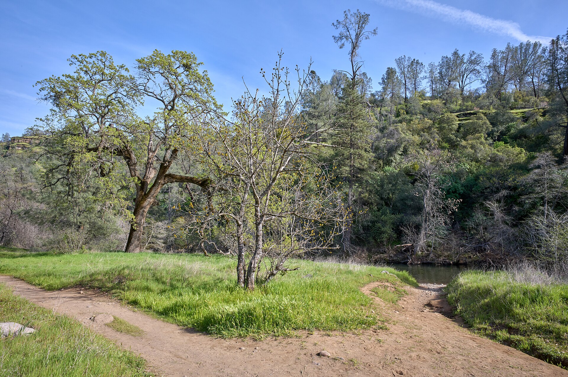 Upper Bidwell Park