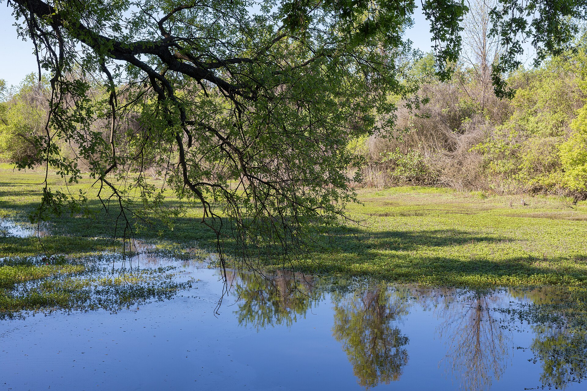 Bidwell River Park