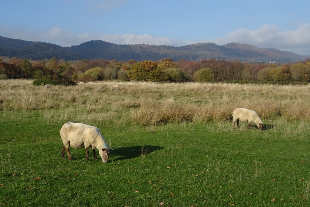The Commons Social Empourium
