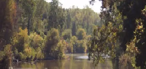 Butte Creek Ecological Preserve