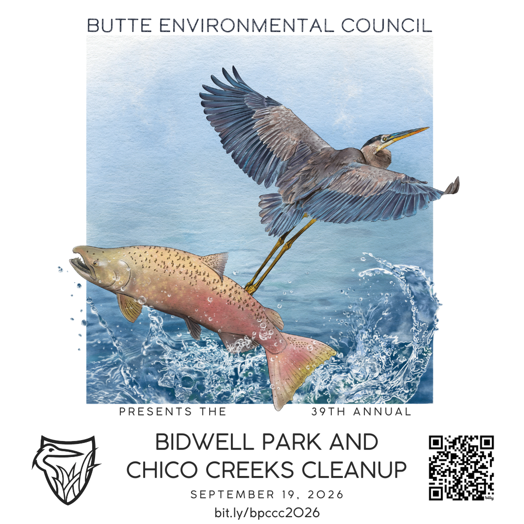 39th Annual Bidwell Park and Chico Creeks Cleanup