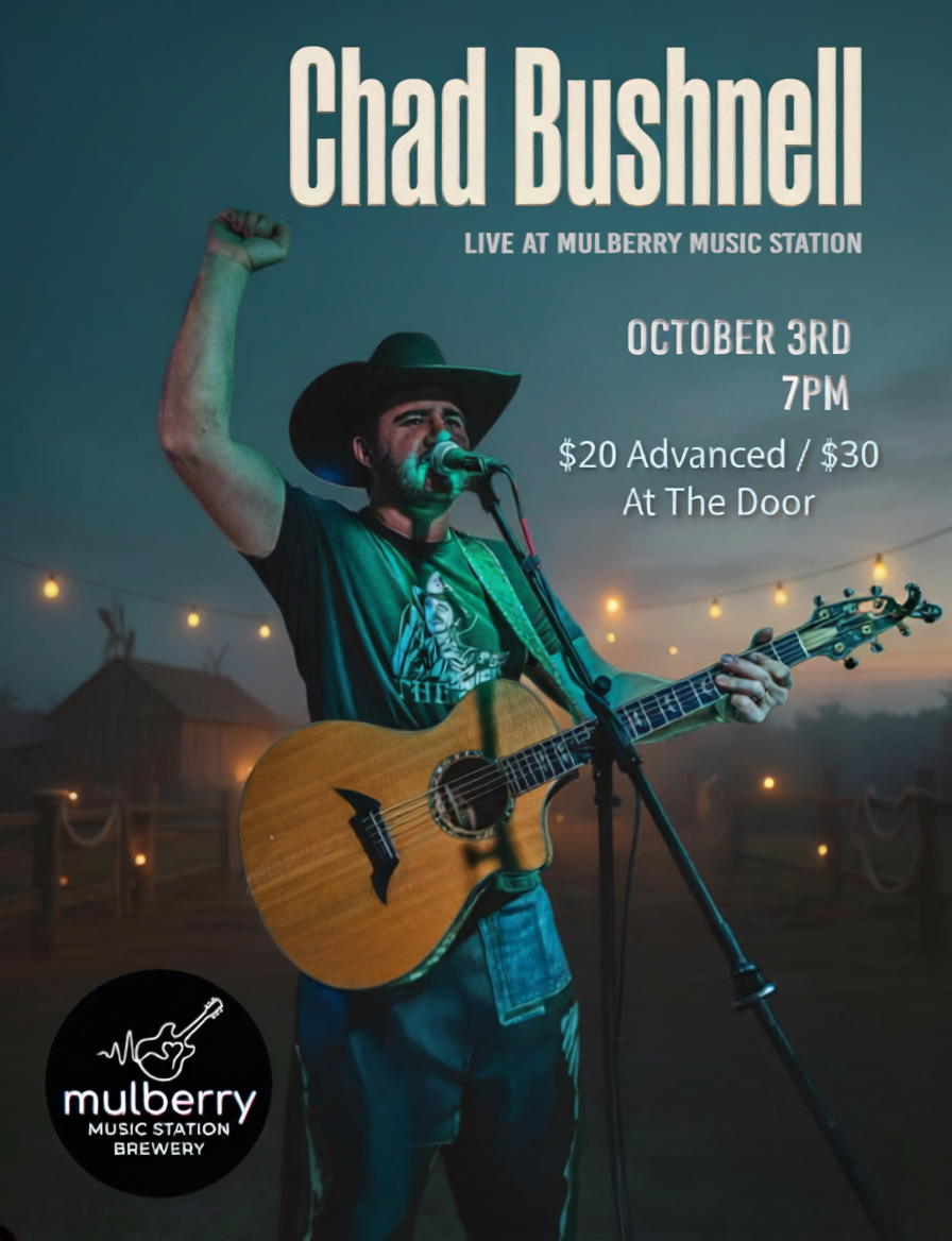 Chad Bushnell Live at Mulberry Music Station