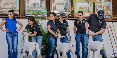 Youth Sheep Day (It's Back)