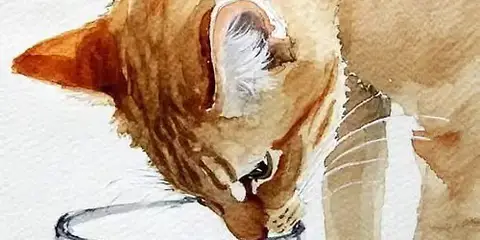 Tuesday Watercolor - Thirsty Cat - Nov. 10th at 12pm.