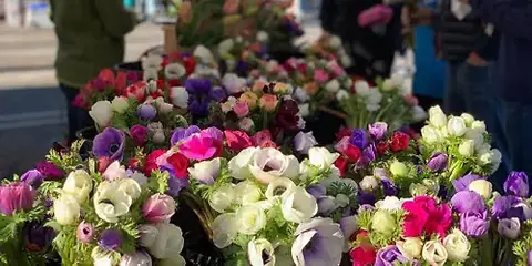 Saturday Market
