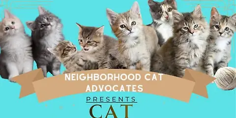 Neighborhood Cat Advocates Adoption Fair