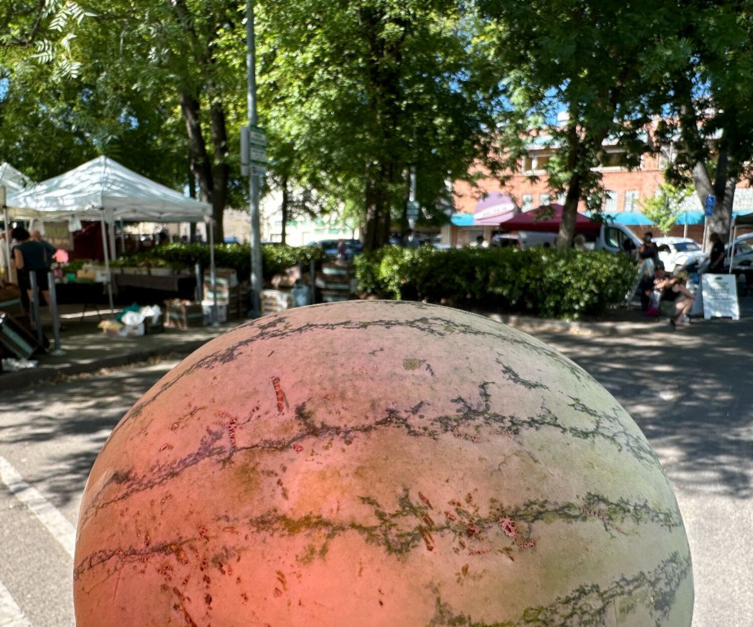 Saturday Farmers Market