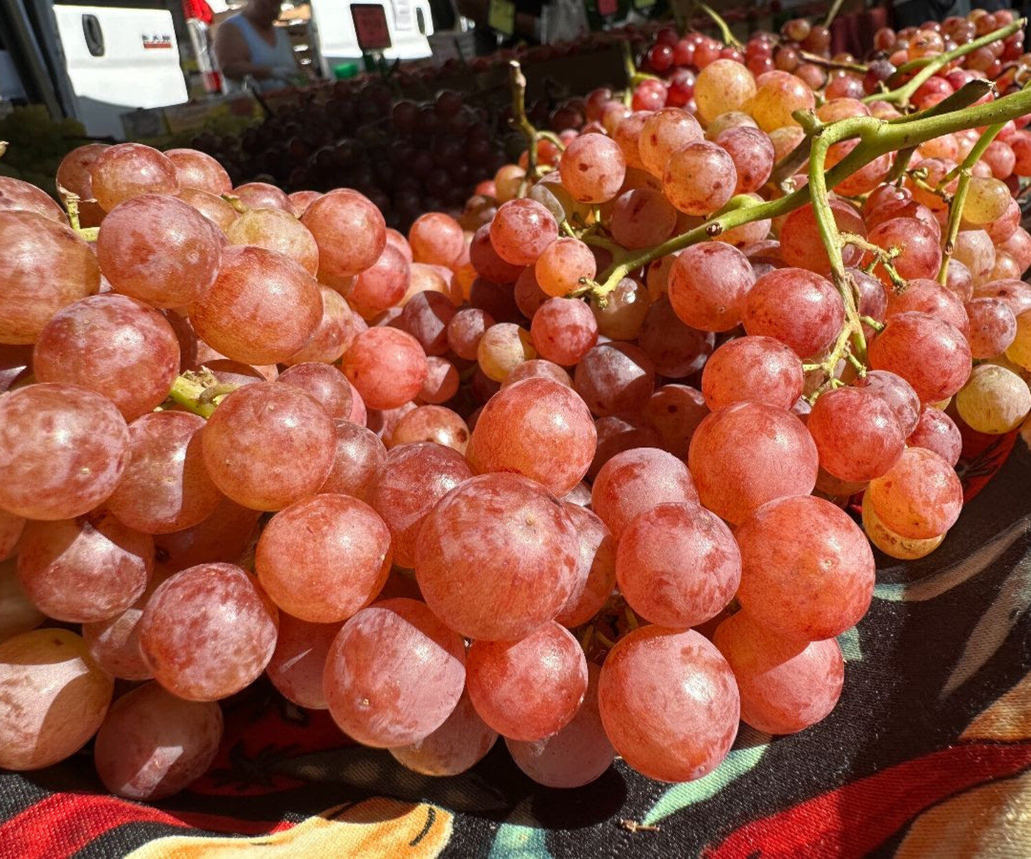 Saturday Farmers Market