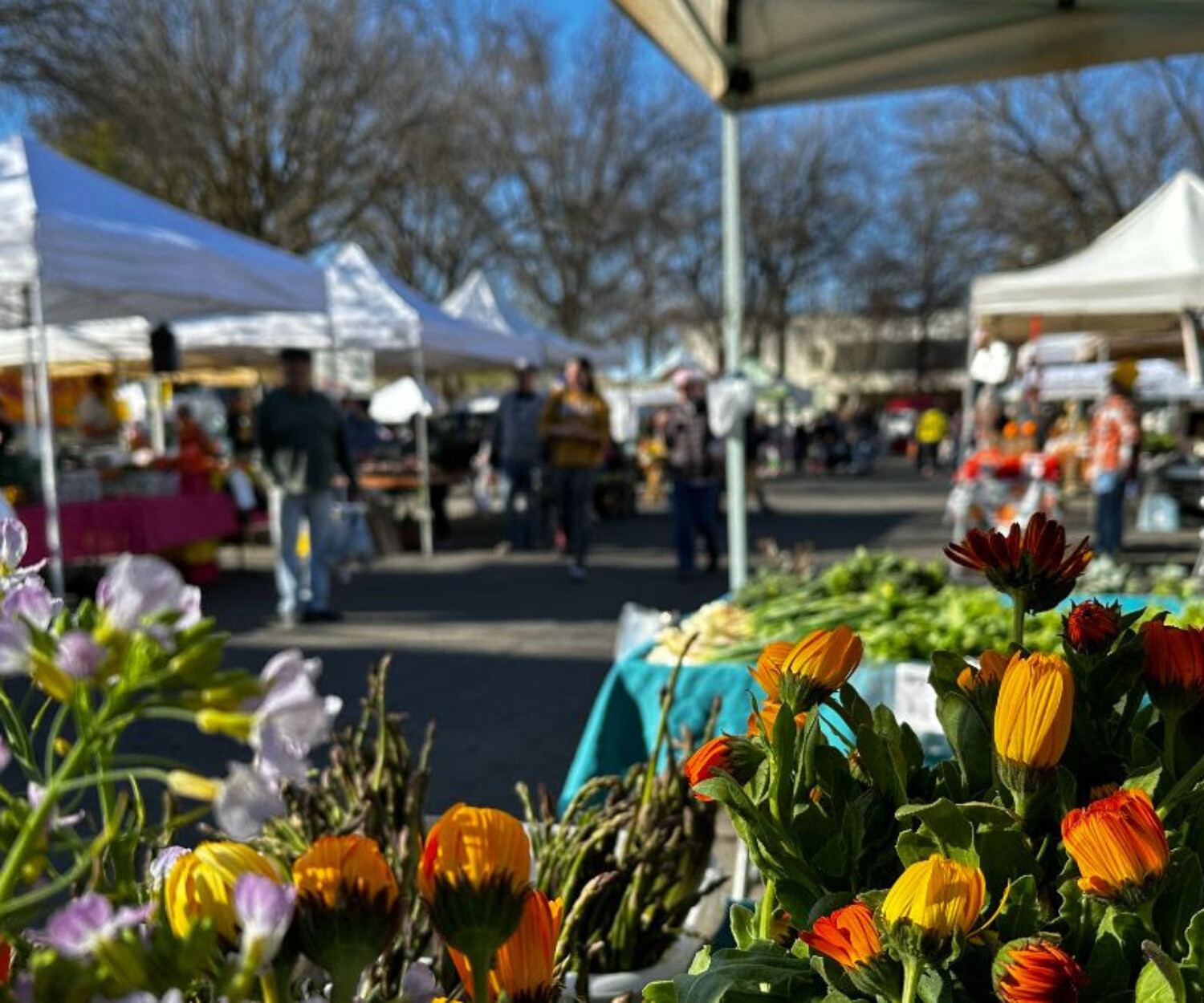 Saturday Farmers Market