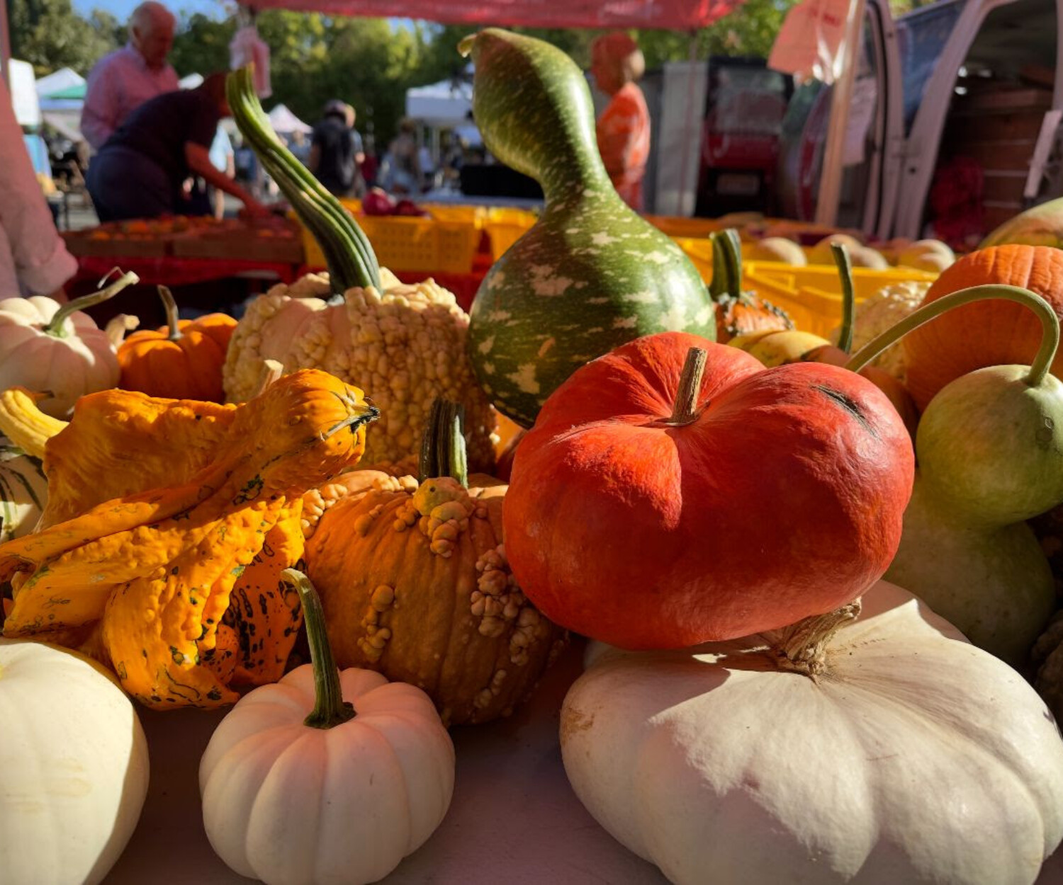 Saturday Farmers Market