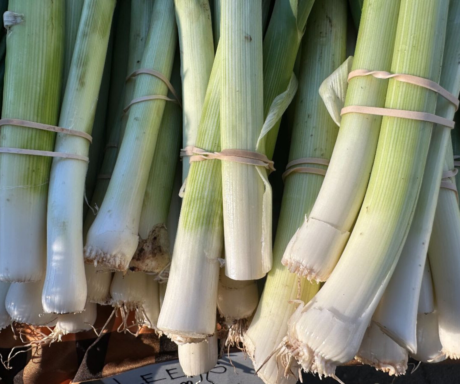 Saturday Farmers Market