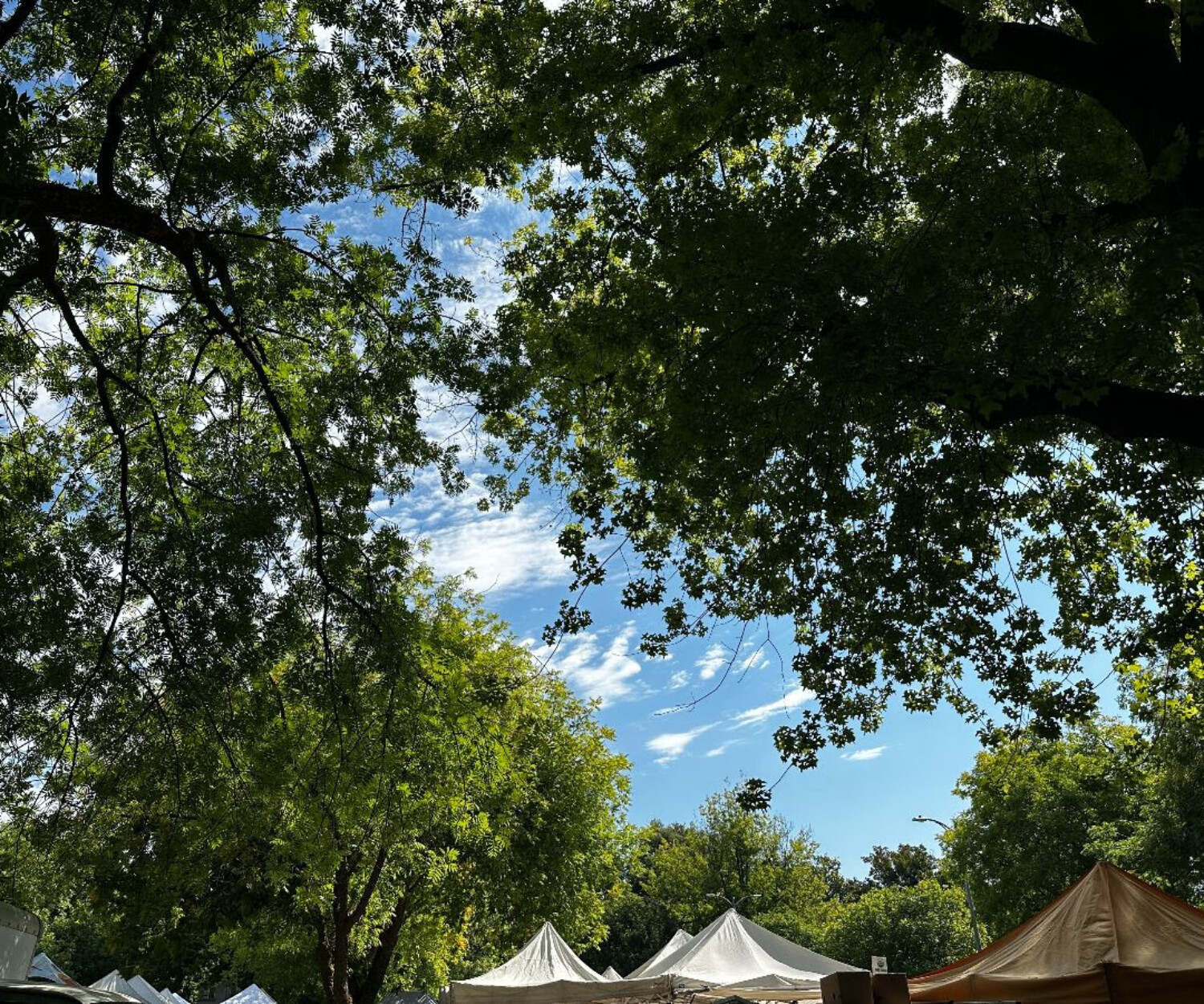 Saturday Farmers Market