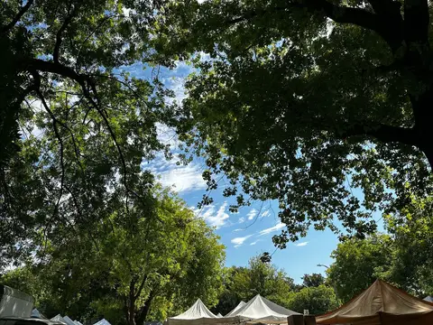 Chico Wednesday Farmers Market