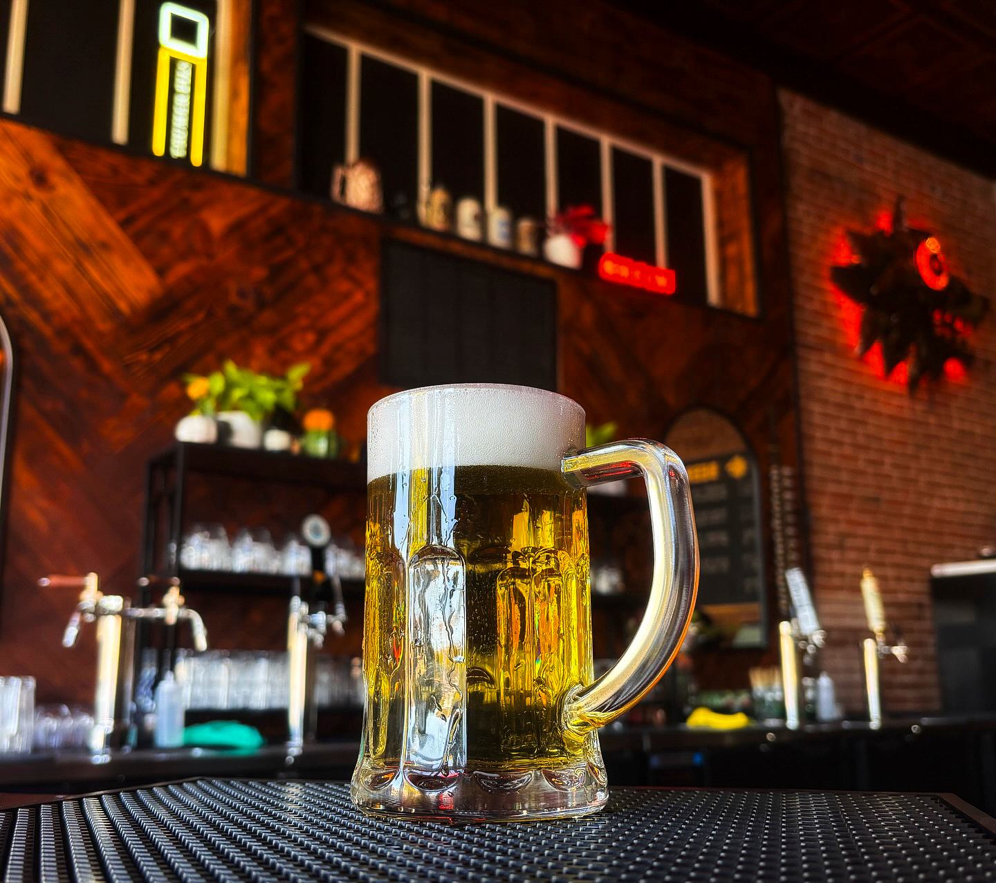 Beer Lobo Lager House