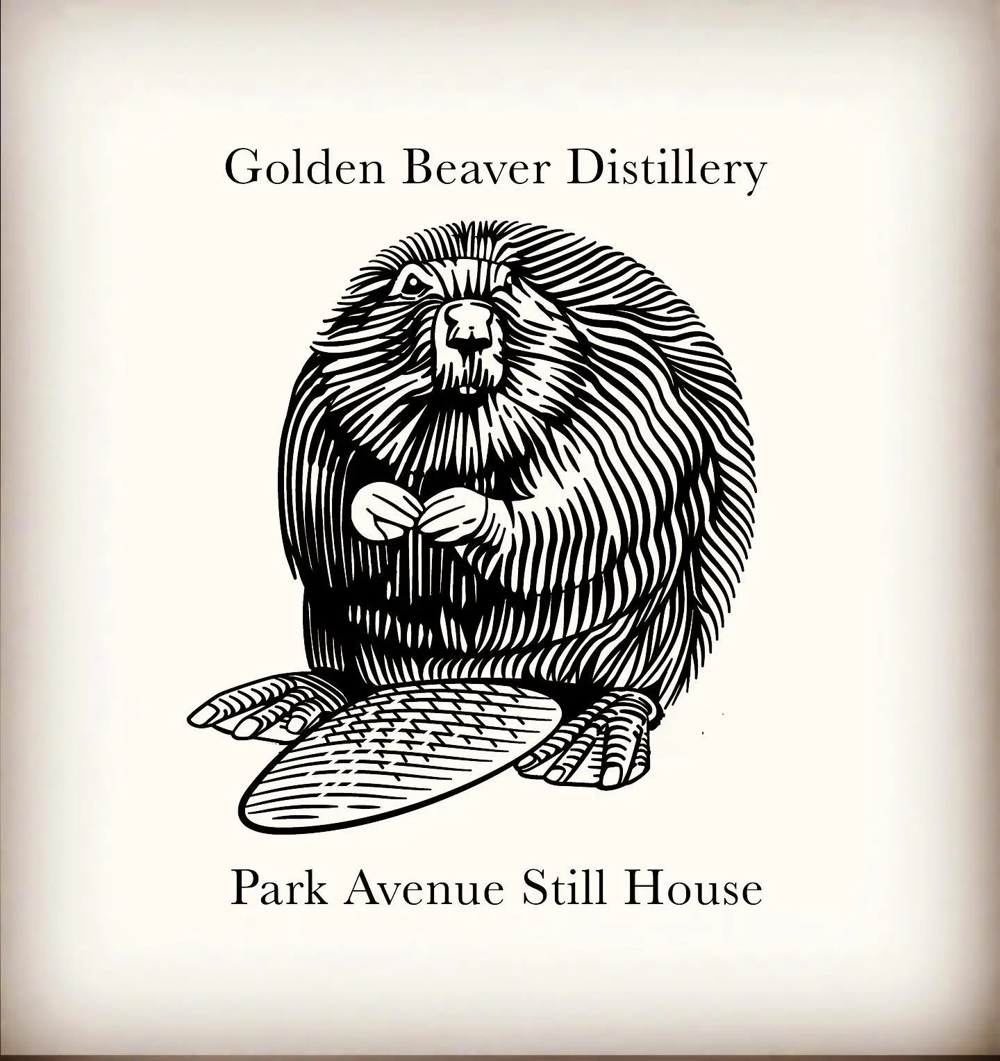 Music by the Still House