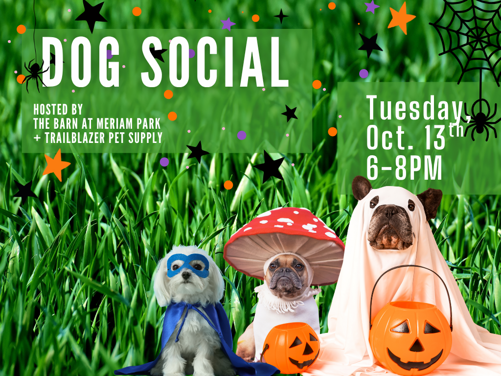 Dog Social