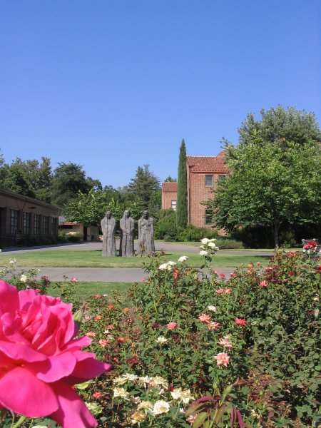 George Petersen Rose Garden